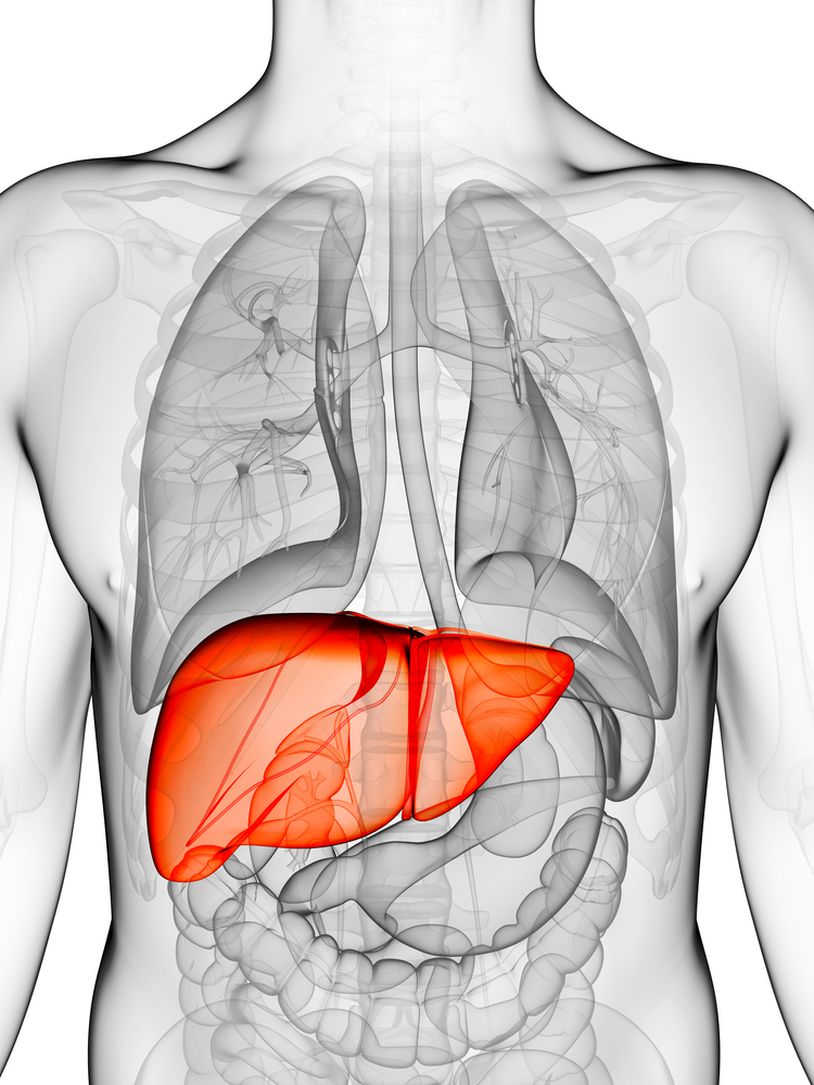 epilepsy with cirrhosis can increase hepatic encephalopathy risk