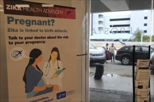 Zika epilepsy
